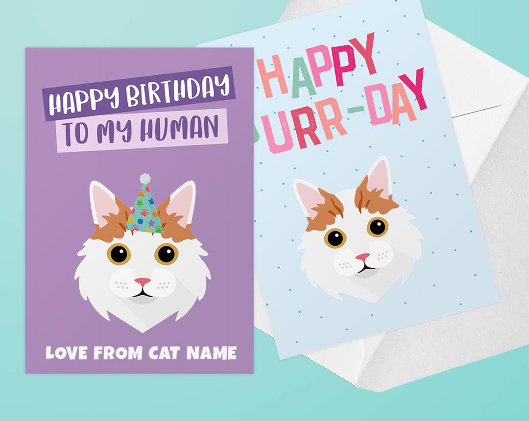 Personalized Cat Cards