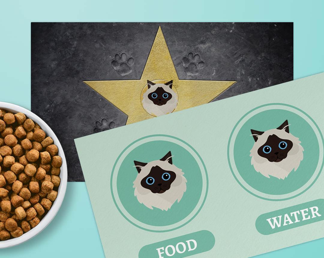 Personalized Cat Feeding Mats