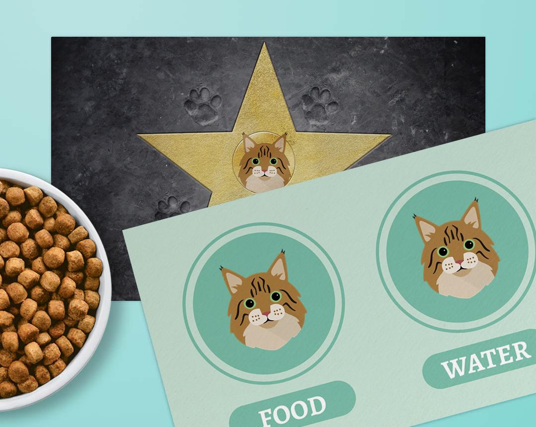 Personalized Cat Feeding Mats
