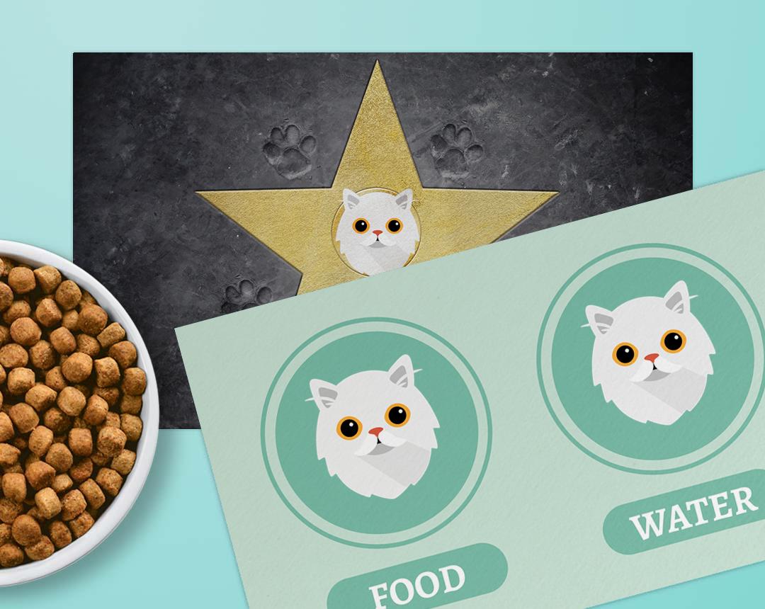 Personalized Cat Feeding Mats