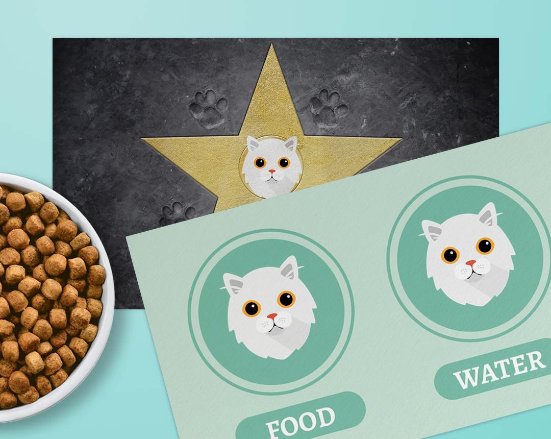 Personalized Cat Feeding Mats