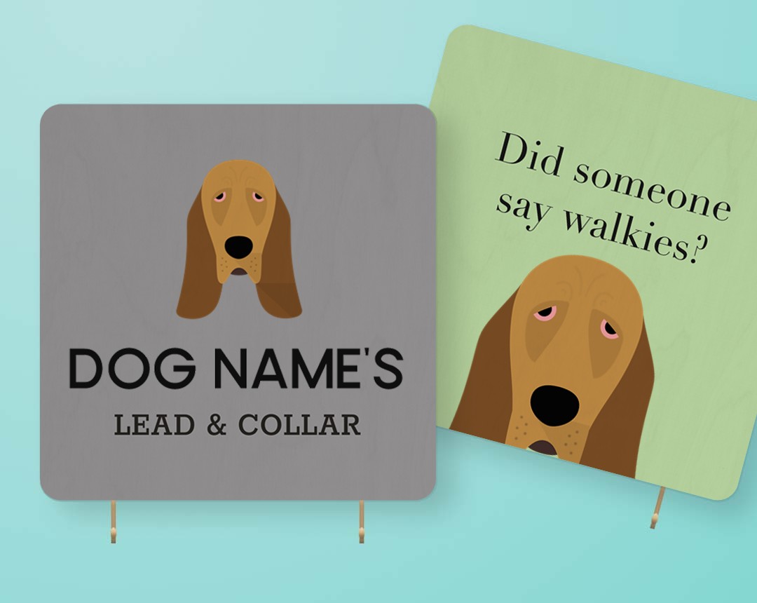 Personalized Lead & Collar Hangers
