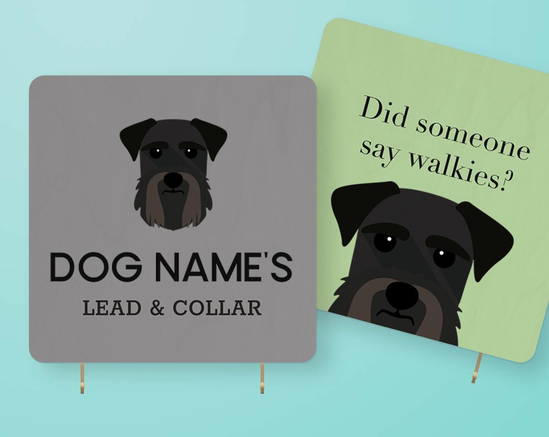 Personalized Lead & Collar Hangers