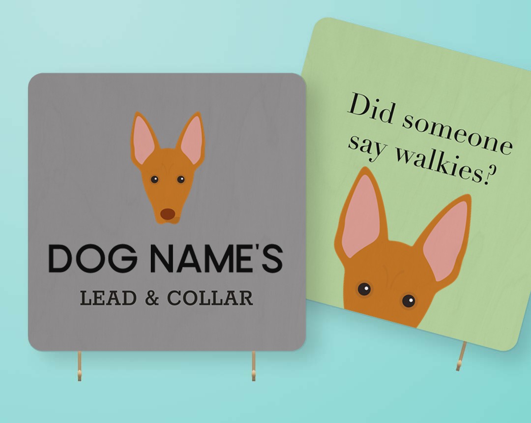 Personalized Lead & Collar Hangers