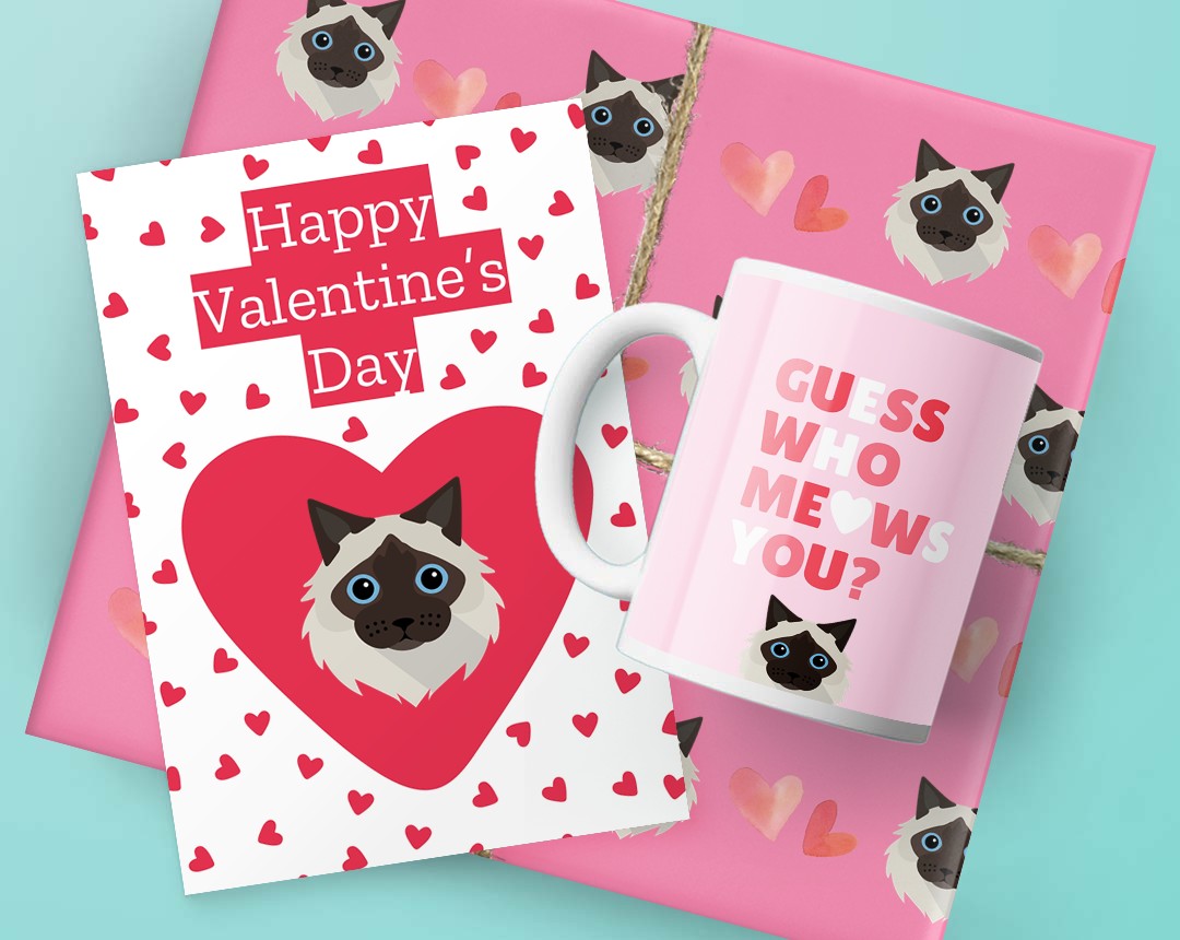 Valentine's Day Cat Gifts